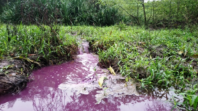 'Xanh mặt' với nước khe chuyển màu tím đỏ, nồng nặc mùi hôi bất thường