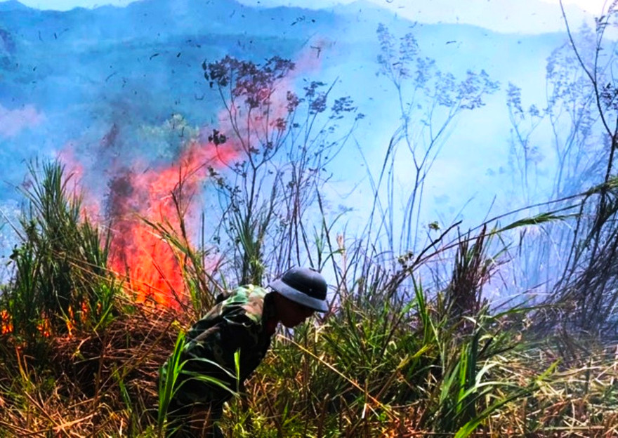 Lại xảy ra cháy rừng tại tỉnh TT-Huế