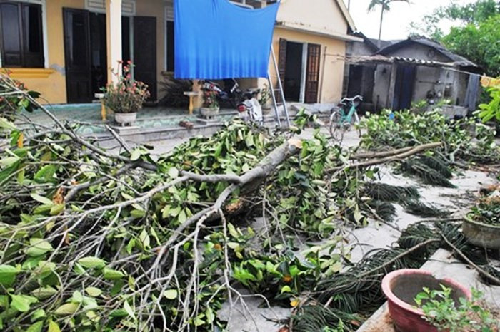 Bước đầu đã có những thiệt hại về cây trồng, nhà cửa, công trình công cộng tại địa bàn Đông Sơn, A Lưới (Ảnh minh họa)