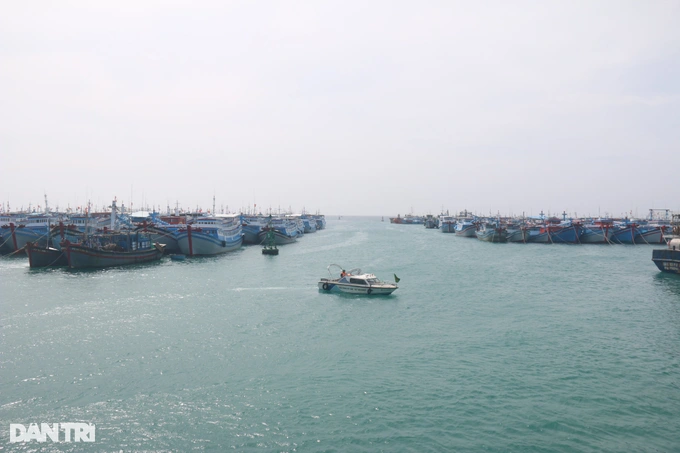 Tàu cá của ngư dân huyện Phú Quý đánh bắt hải sản (Ảnh: Trúc Hà)