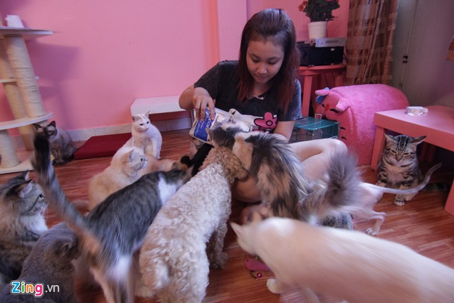 Nữ sinh 9X nuôi mèo không lông trên 20 triệu đồng/con