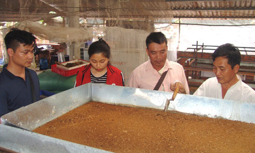 Ông Bé đang hướng dẫn kỹ thuật nuôi ruồi lính đen cho khách. Ảnh: Trần Đáng.