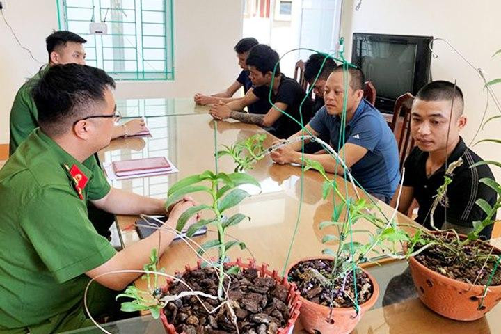 Công an Hoà Bình bắt giữ nhóm đối tượng lừa đảo lan đột biến
