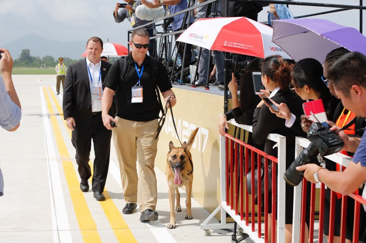 Nhìn gần chó nghiệp vụ Mỹ ở sân bay Đà Nẵng