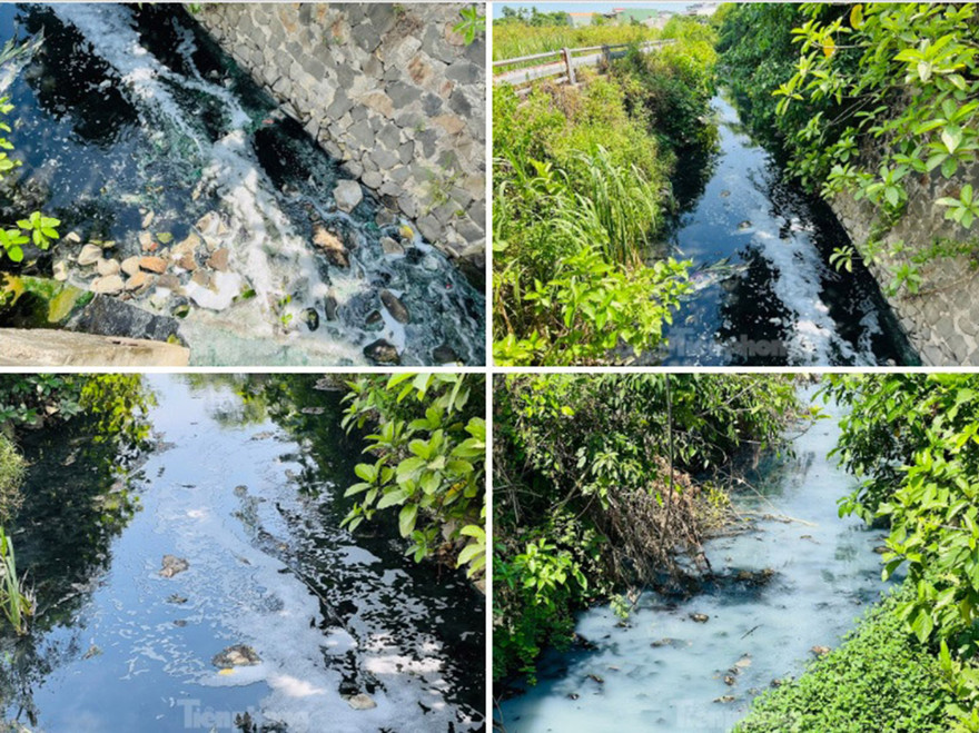 Người dân 'chịu không thấu' mùi hôi của 2 hồ điều hòa lớn nhất TP Quảng Ngãi