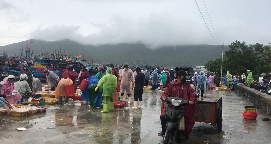 Cảng cá Thọ Quang, cảng cá lớn nhất miền Trung buổi sáng tấp nập người mua kẻ bán, với những mẻ hải sản từ những chuyến biển cuối cùng vào bờ trước khi bão đến - ảnh Thái Lâm 