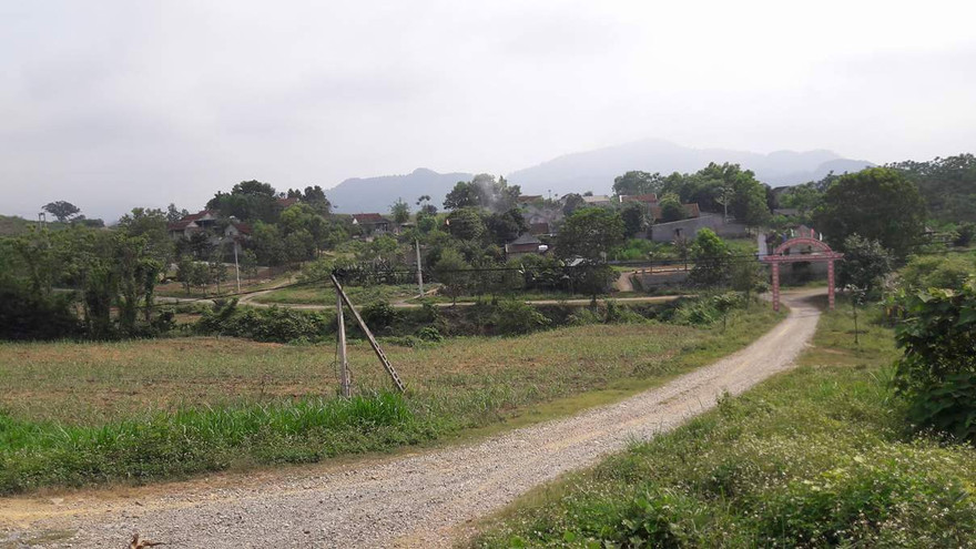 Một góc thôn Thanh Niên. Ảnh: Hoàng Lam