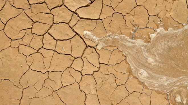 Xanh hoá sa mạc nhờ siêu công nghệ chế tạo nước và canh tác khô