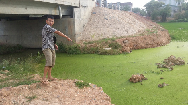 Ông Trí cho rằng nước xả thải của BV Lao và Phổi Nghệ An đã được xử lý đảm bảo an toàn nhưng thực tế nước được đổ ra cánh đồng lúa có màu đen, bốc mùi hôi thối.