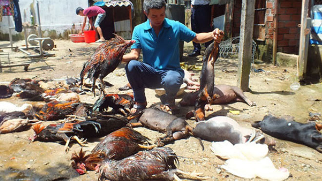 Rò rỉ khí độc 'đe dọa' nghìn người: Xử trí thế nào nếu hít phải amoniac?