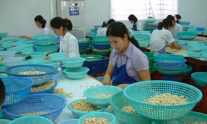 Doanh nghiệp tìm lối ra giữa 'tứ bề thọ địch'