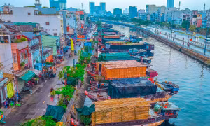 TPHCM có những chợ hoa, đường hoa nào dịp Tết Bính Ngọ 2026?