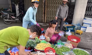 Rằm tháng Giêng: Nấm rơm 'leo đỉnh' 200.000 đồng/kg