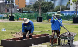 Mưu sinh giữa cái nắng đổ lửa ở TPHCM