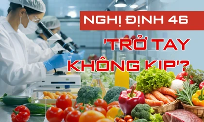Hoả tốc đề nghị 3 bộ gỡ vướng hơn nghìn container nông sản ùn tắc