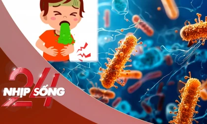 NHỊP SỐNG 24: Triệu chứng của chất Cereulide có trong các loại sữa bị NESTLÉ thu hồi