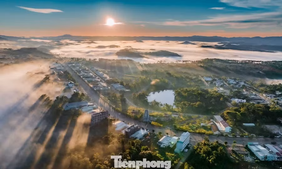 Quảng Ngãi chuyển gần 83 ha rừng Măng Đen làm đại đô thị nghìn tỷ