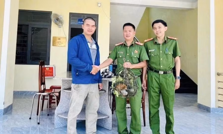 Phát hiện động vật quý hiếm đi lạc vào khu dân cư