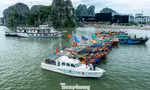 Quảng Ninh cấm biển, tàu thuyền hối hả chạy vào bờ tránh bão 