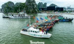 Quảng Ninh cấm biển, tàu thuyền hối hả chạy vào bờ tránh bão 