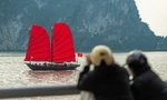 Xuất hiện thuyền ba vách độc đáo trên vịnh Hạ Long