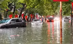 Nhiều ôtô mắc kẹt giữa biển nước ở Quảng Ninh