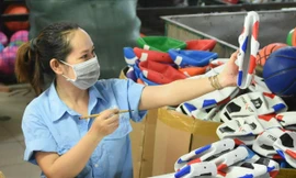 Những dấu ấn nổi bật của Đảng bộ Tập đoàn Công nghiệp Cao su Việt Nam