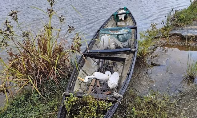 Bắt ‘tại trận’ hai người đàn ông giăng bẫy tận diệt chim trời