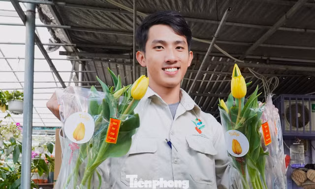 Người dân Đà Nẵng bị hoa tulip xứ lạnh mê hoặc 
