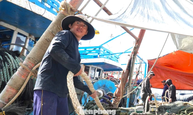 Cảng cá lớn nhất miền Trung nhộn nhịp chuyến biển ngày áp Tết