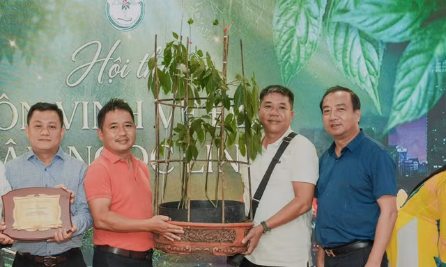'Hoa hậu' sâm Ngọc Linh bán đấu giá hơn 700 triệu đồng