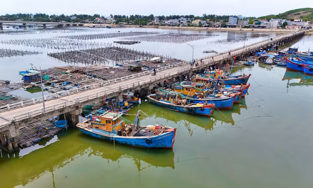 Bất chấp lệnh cấm, ngư dân vẫn neo tàu ở cây cầu rệu rã