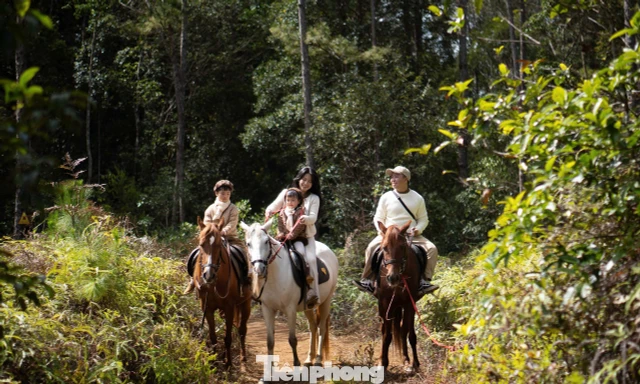 Thích thú du lịch cưỡi ngựa ở Măng Đen