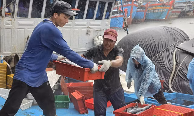 Ngư dân Quảng Ngãi bỏ dở phiên biển, hối hả vào bờ bán cá ‘chạy bão’