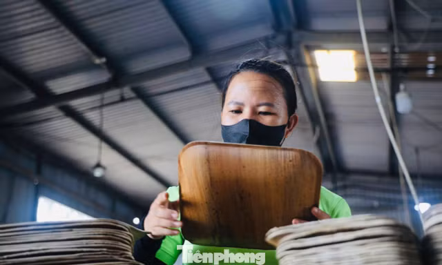Lá bàng biển của Việt Nam làm thành đĩa, được bán khắp châu Âu