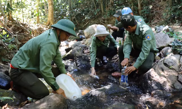 Khô hạn bủa vây, kiểm lâm 'gùi nước' giữa rừng sâu