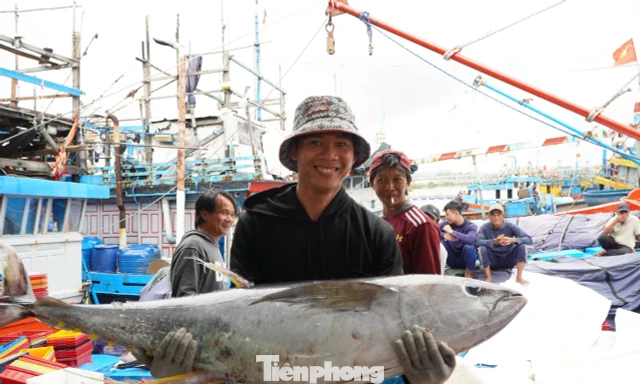 Giáp Tết, ngư dân Quảng Ngãi trúng đậm cá ngừ đại dương