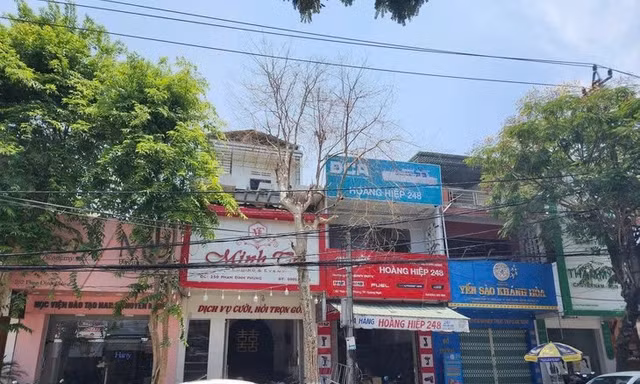 Vì sao hàng loạt cây xanh giữa tuyến phố sầm uất ở Quảng Ngãi bị bức tử?