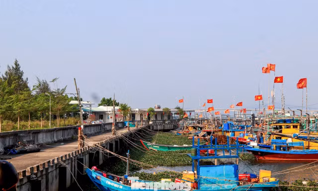 Cảng cá tiền tỷ bỏ hoang, ngư dân Đà Nẵng ngóng ngày vươn khơi
