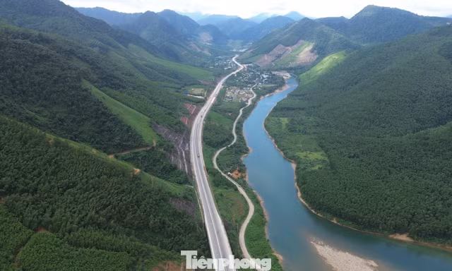 Sau sáp nhập, Đà Nẵng rộng cửa bước vào thị trường tín chỉ carbon toàn cầu