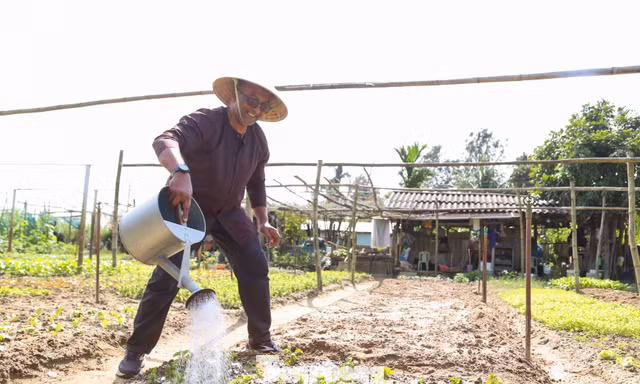 Khách Tây hào hứng làm nông dân gánh nước, trồng rau 