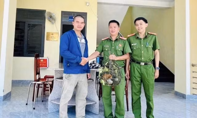 Phát hiện động vật quý hiếm đi lạc vào khu dân cư