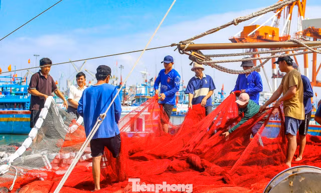Ngư dân góp phần quảng bá tiềm năng phát triển kinh tế, du lịch biển