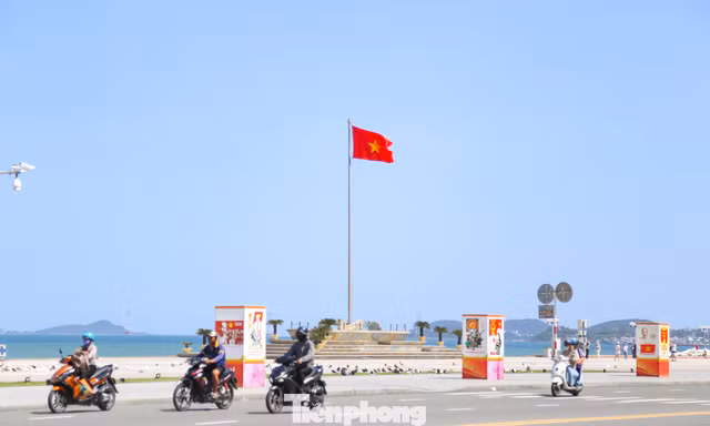 Cung đường Tiền Phong Marathon 2026 ‘triệu góc nhìn’ giữa lòng phố biển