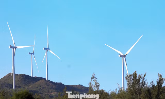 Gia Lai gọi vốn cho 12 dự án năng lượng tái tạo