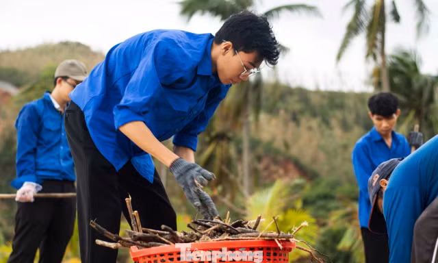 'Áo xanh' tình nguyện dọn dẹp trường học sau trận ngập lịch sử