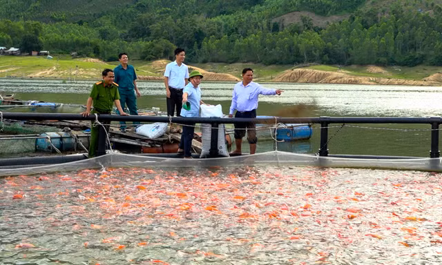 Gắn bó ‘sông nước’, nông dân miền núi ở Gia Lai vươn lên thoát nghèo