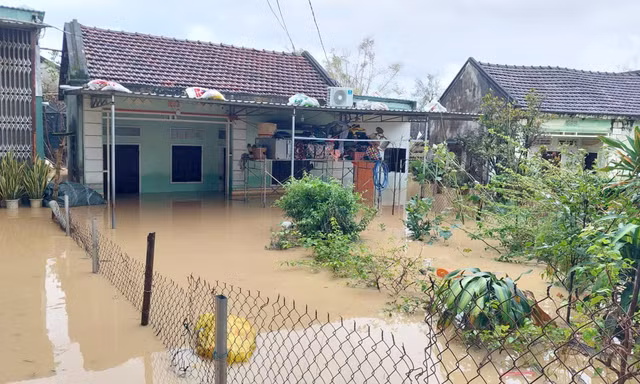Mưa lớn gây ngập lụt ở Gia Lai