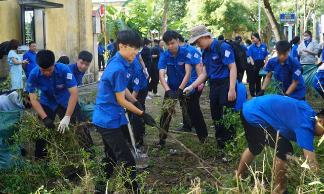 Thanh niên Huế ra quân Ngày Chủ nhật xanh 