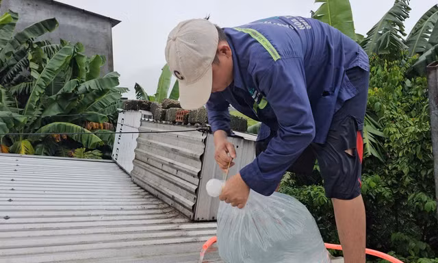 Người dân Huế dùng ‘cách lạ’ chằng chống nhà cửa trước bão gió ra sao?